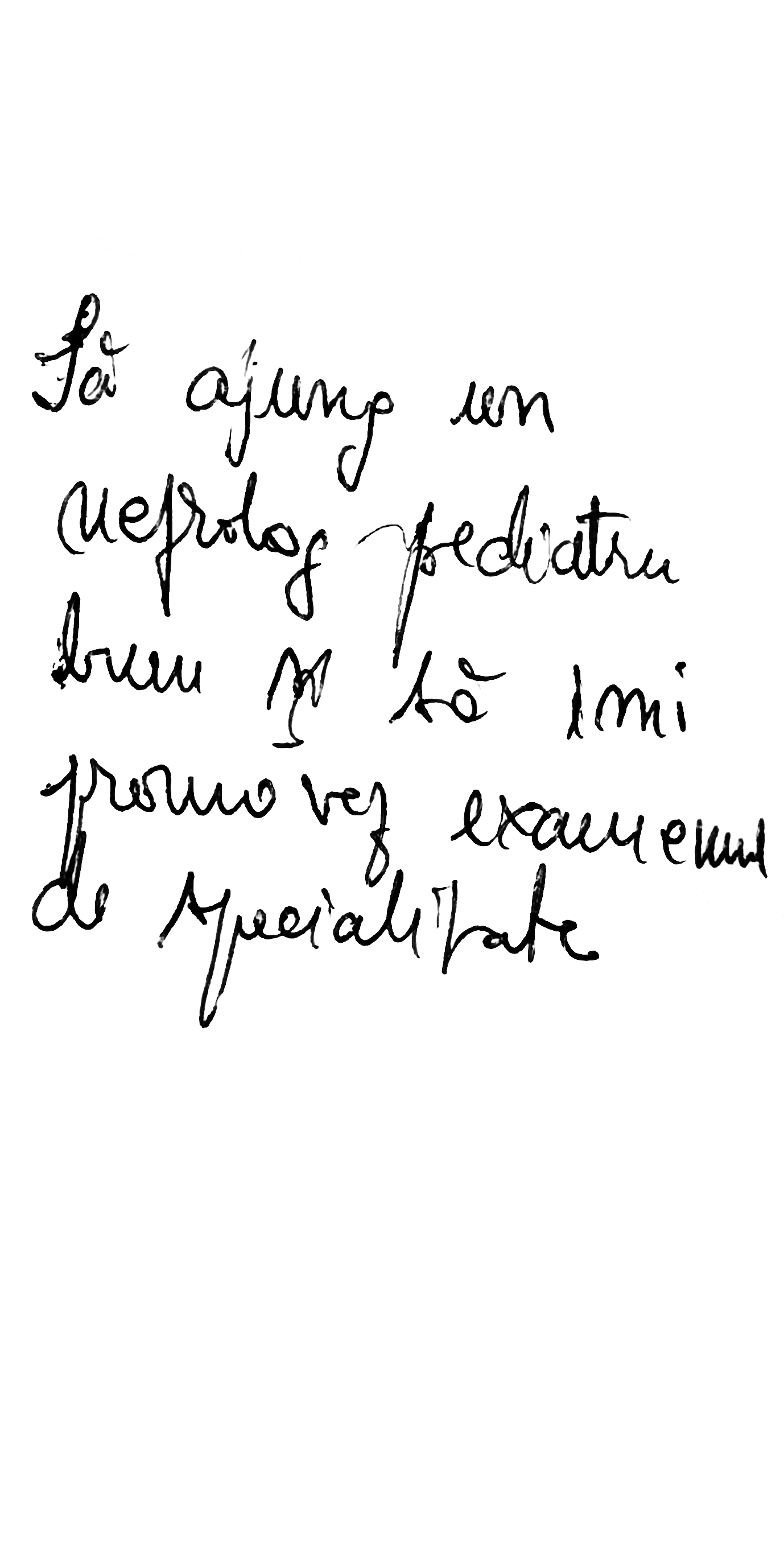 IMG_0354_0017_Background-copy-7.png